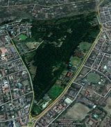 Image result for City Park Nairobi
