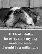 Image result for Happy Birthday Funny Dog Quotes