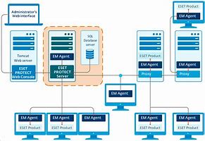 Image result for Eset Server