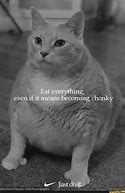 Image result for Fat Cat Eating Payday