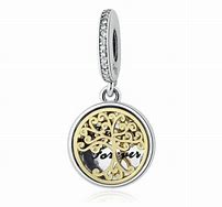 Image result for Pandora Charms 14 Years Old