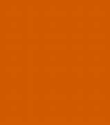 Image result for Pumpkin Orange Color