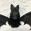 Image result for Free 3D Printed Fruit Bat