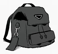 Image result for Swig Backpack