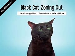 Image result for When Your Woman Zoned Cat Meme