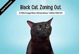 Image result for Me Zoning Out Cat Meme