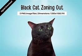 Image result for Zone Out Cat Meme
