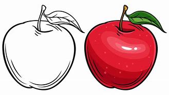 Image result for Apple Vector Drawing