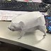 Image result for 3D Pig to Print