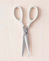 Image result for World's Best Scissors