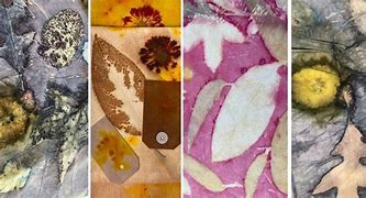 Image result for Eco Printing SD