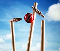 Image result for Cricket Betting Market Size