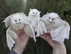 Image result for Cutest White Bat