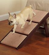 Image result for Kythira Pet Steps