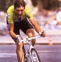 Image result for Sean Kelly Zip World