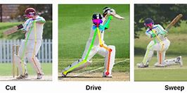 Image result for Ai Cricket Image