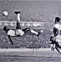 Image result for Pele Forgets to Lock Door