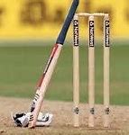 Image result for Thailand Cricket