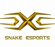 Image result for Snake eSports Logo