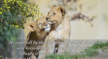Image result for The Body Is an Animal Quotes