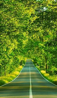 Image result for Nature Scenery Wallpapers Phone