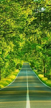 Image result for Nature HD Wallpaper 4K iPhone