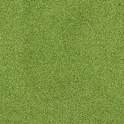 Image result for Cricket Gras Texture