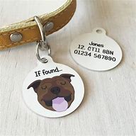 Image result for Funny Photo ID for a Dog