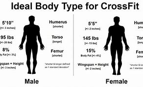 Image result for Ideal Body Comic
