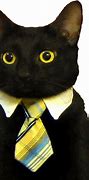 Image result for Business Cat Meme Clear Template
