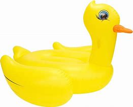 Image result for Inflated Animals Raft