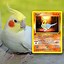 Image result for Sus Dog Pokemon Cards