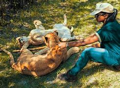 Image result for Colleges with Animal Science Programs