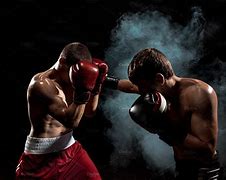 Image result for Boxer Kick Boxing