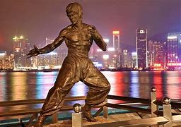 Image result for Bruce Lee Foundation
