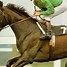 Image result for Hint of Shergar