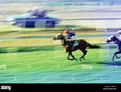 Image result for Horse Racing Papers