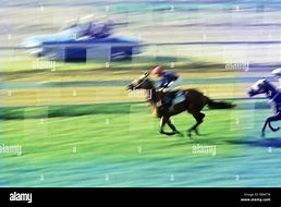Image result for Horse Racing Border