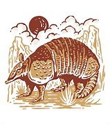 Image result for Armadillo Vector