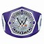 Image result for WWE Championship Spinner Belt