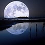 Image result for Saver Moon