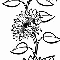 Image result for Sunflower Vector Black and White