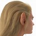 Image result for Elf Head