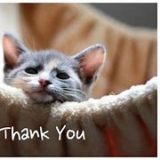 Image result for Cat Says Thank You