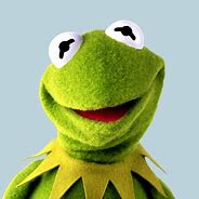 Image result for Kermit the Frog Face Closeup