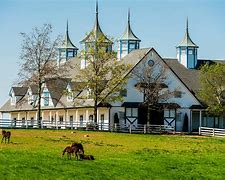 Image result for Thoroughbred Horse Farms Lexington KY
