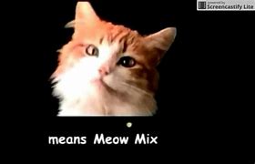 Image result for Meow Meow 6000s
