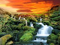 Image result for Nature iPhone 5 Wallpaper