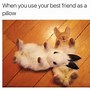 Image result for Wholesome Bestie Memes