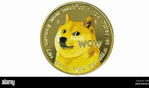 Image result for Coin Doge Meme